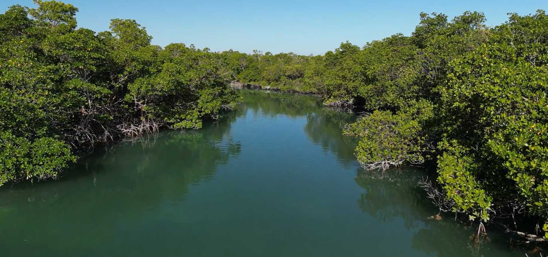 Discover Premier Fishing and Spearfishing Adventures in Key West